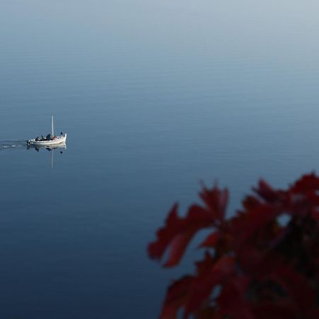 Vila Verbana Apartments Vrbnik  Dış mekan fotoğraf