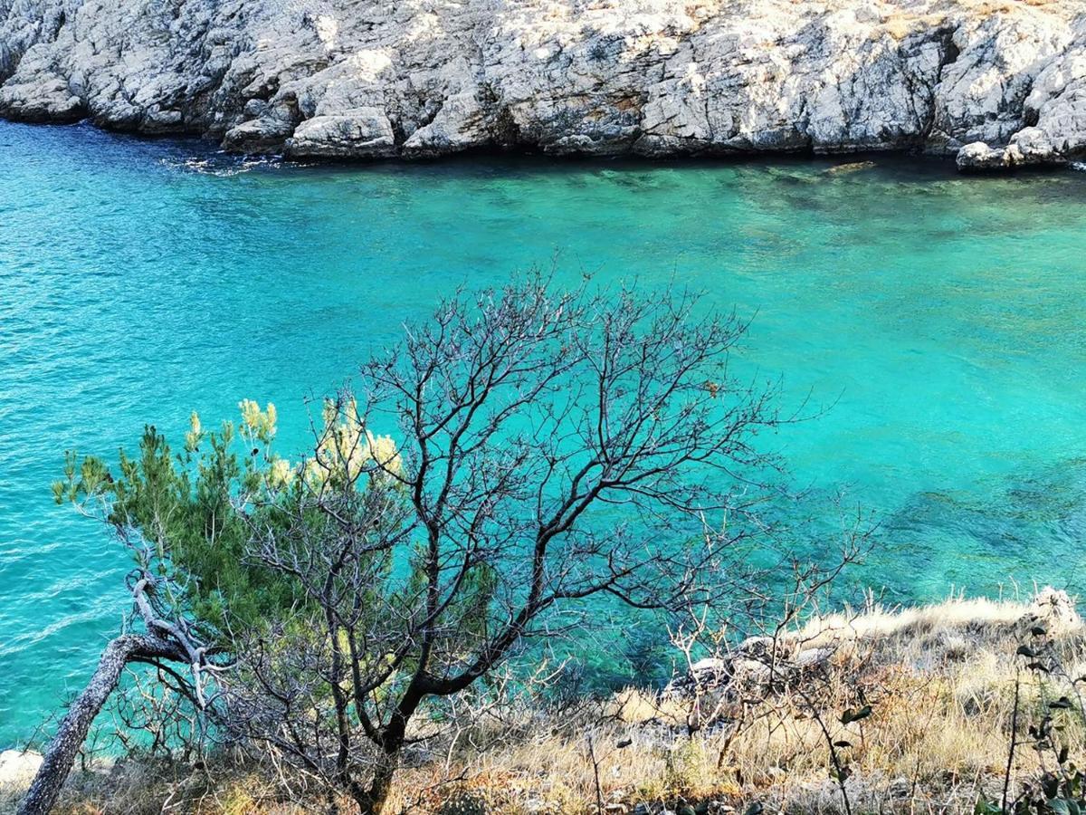 Vila Verbana Apartments Vrbnik  Dış mekan fotoğraf