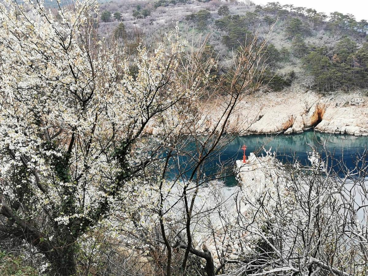 Vila Verbana Apartments Vrbnik  Dış mekan fotoğraf