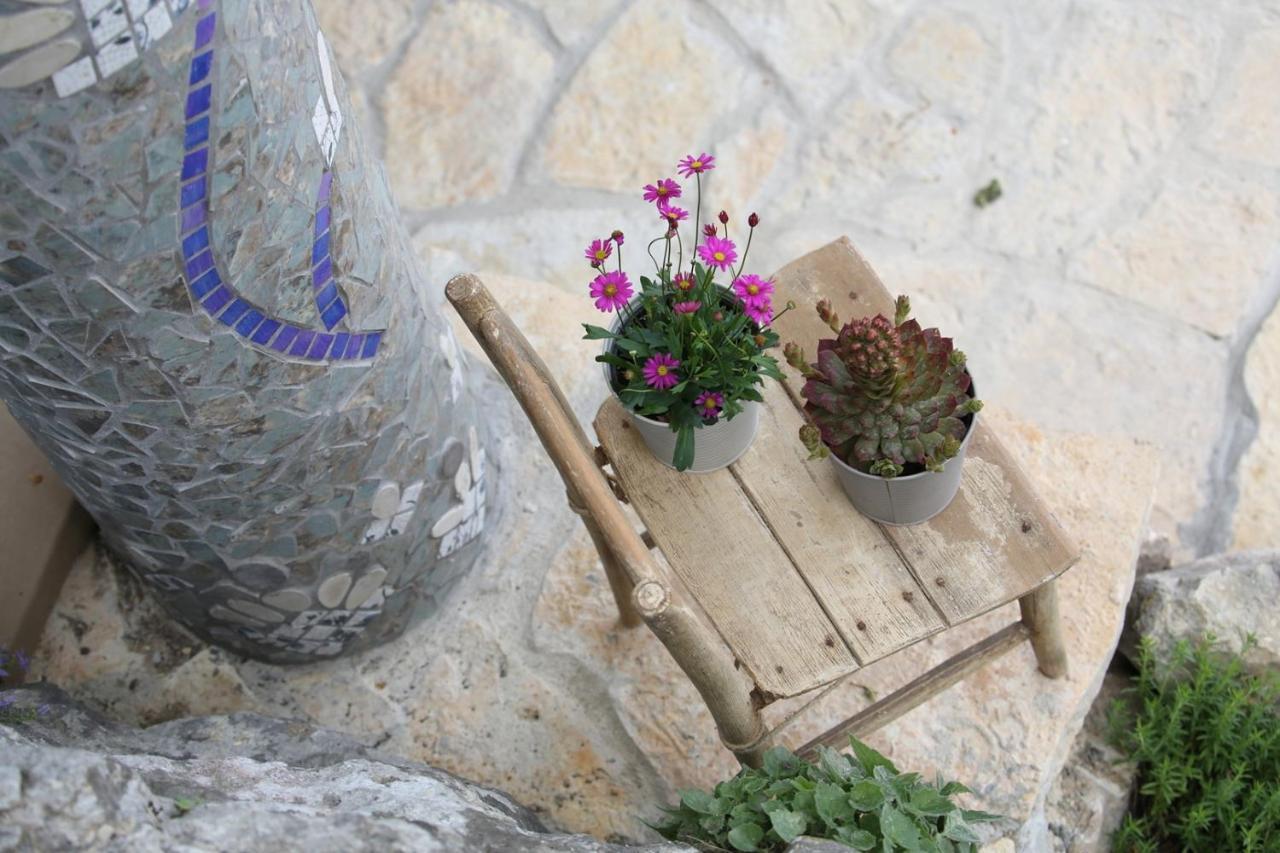 Vila Verbana Apartments Vrbnik  Dış mekan fotoğraf
