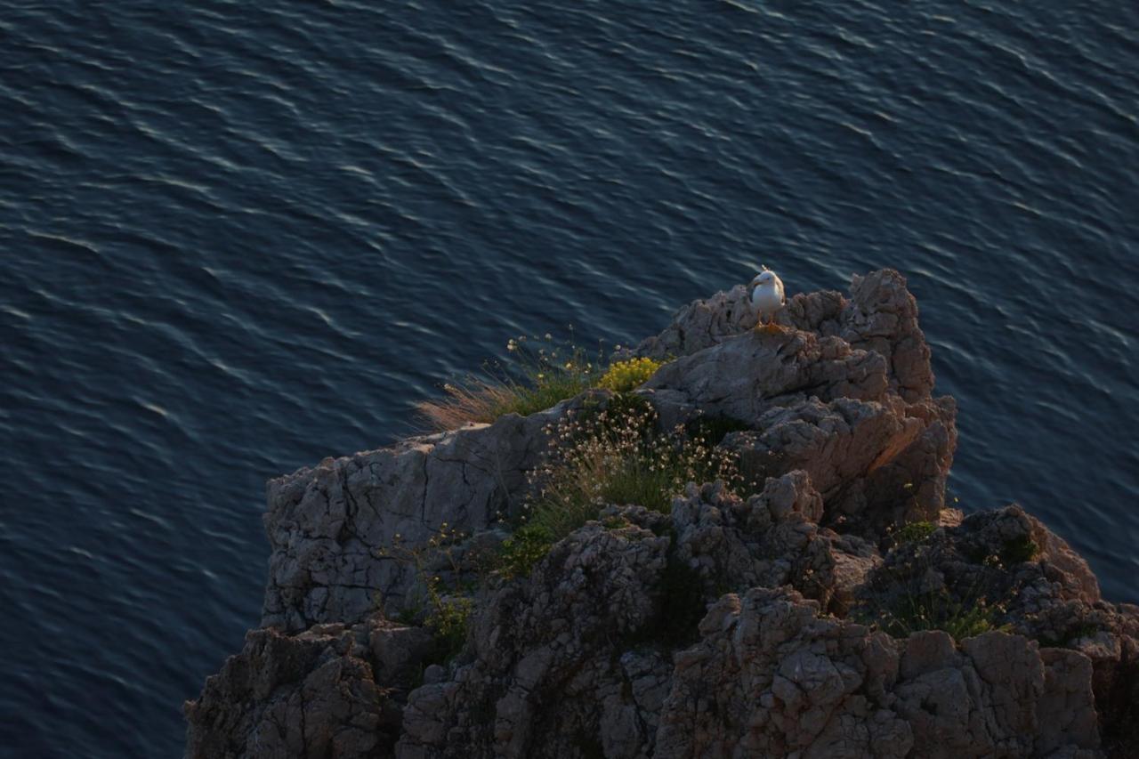 Vila Verbana Apartments Vrbnik  Dış mekan fotoğraf