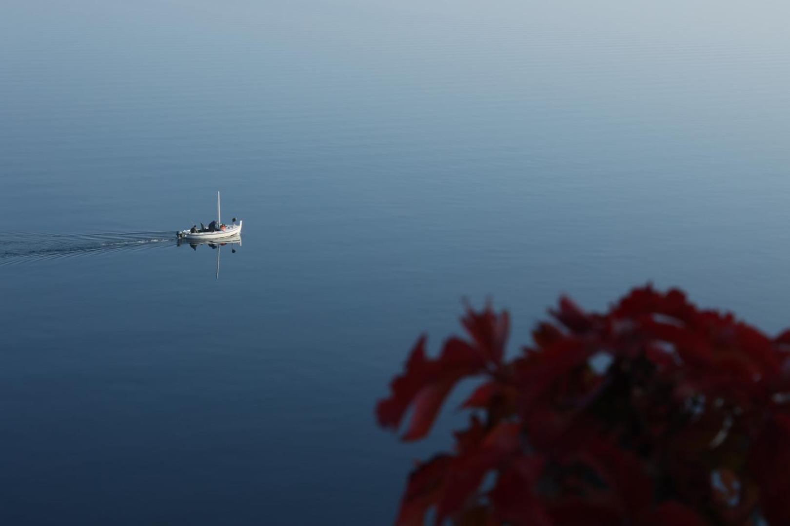Vila Verbana Apartments Vrbnik  Dış mekan fotoğraf
